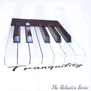 Beautiful New Age Piano Music: The Relaxation Series
