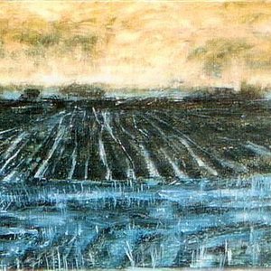 Polder