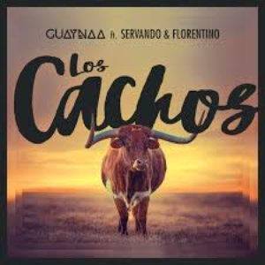 Los Cachos