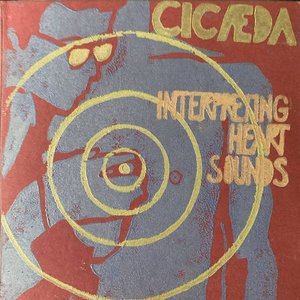 Interpreting Heart Sounds