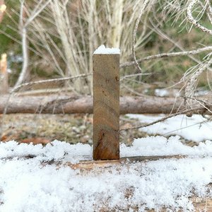 thaw