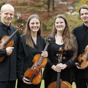 Zehetmair Quartett 的头像