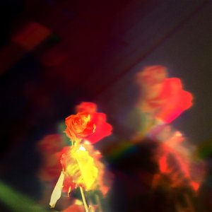 Petals on the Moon - Single