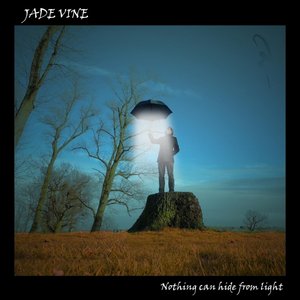 Nothing Can Hide from Light