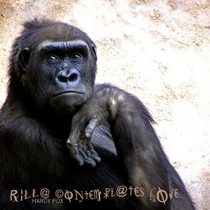 Rilla contemplates love