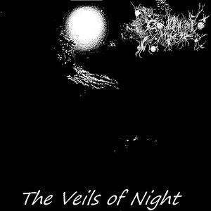 The Veils Of Night