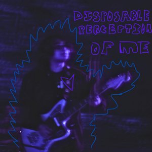 Disposable Perception of Me