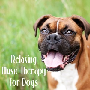 Relaxing Music Therapy for Dogs – Mellow Sounds to Calm Down Your Pet While You Are Out, Soft Instrumental Music for Puppies