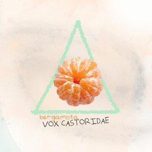 Image for 'Vox Castoridae'