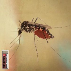 Brother in the Night