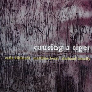 Causing a Tiger