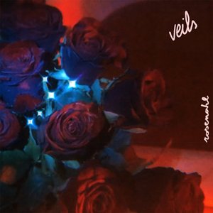 Veils