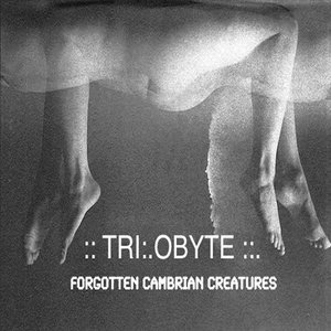 Tri:.Obyte 的头像
