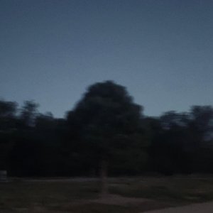 Nightlight - Single