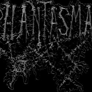 Phantasmal 的头像