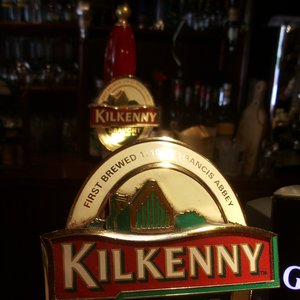 Image for 'The Kilkenny Brothers'