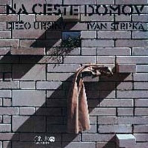 Na ceste domov