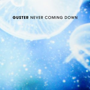 Never Coming Down - Single