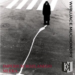 Wirujące Muchomory 的头像