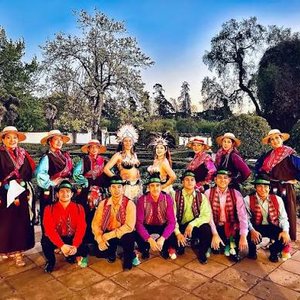 Conjunto Folclorico Danzamerica De Chile 的头像