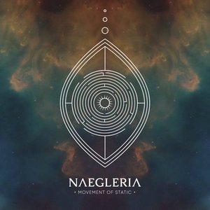 Naegleria