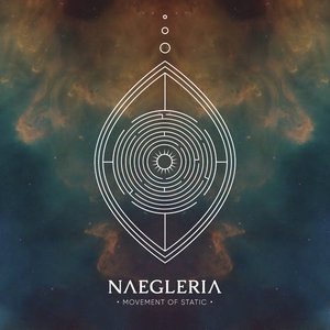 Imagem de 'Naegleria'