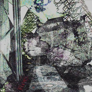 Does a Bear Shit In the Woods? - Single