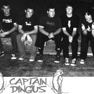 Captain Dingus 的头像