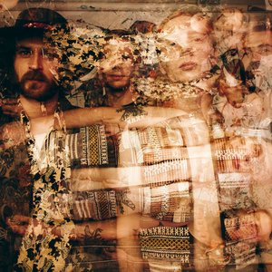 Jack Harlon & The Dead Crows 的头像