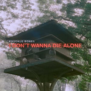 I Don't Wanna Die Alone