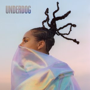 “Underdog”的封面