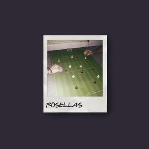 Rosellas