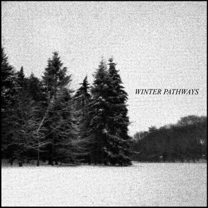 Winter Pathways