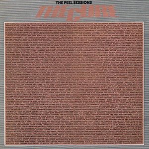 Bild för 'The Peel Sessions (1978-12-04)'