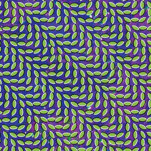 “Merriweather Post Pavilion”的封面