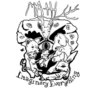 Imaginary Everything cover