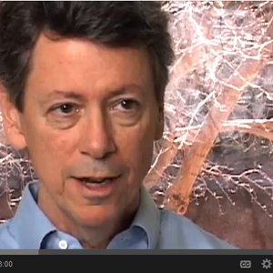 Rick Hanson, PhD 的头像
