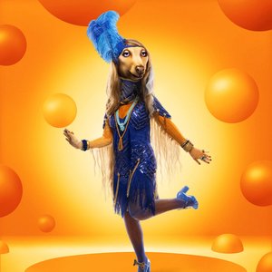 Avatar for The Masked Singer: Afghan Hound