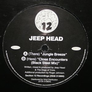 Avatar for Jeep Head