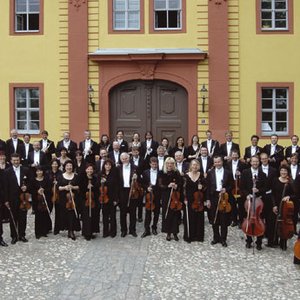 Vogtland Philharmonic Orchestra Greiz-Reichenbach 的头像