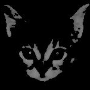 Avatar for kashioboy