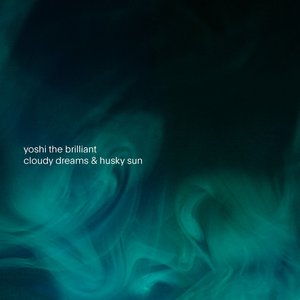 yoshi the brilliant 的头像