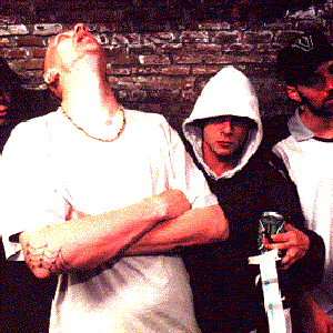 Vaardigheid photo provided by Last.fm