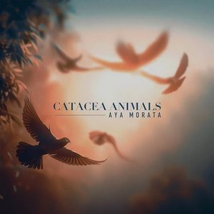 Catacea Animals