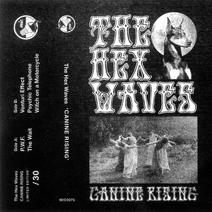 Canine Rising