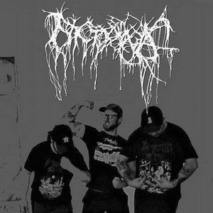 Nyctophagia 的头像