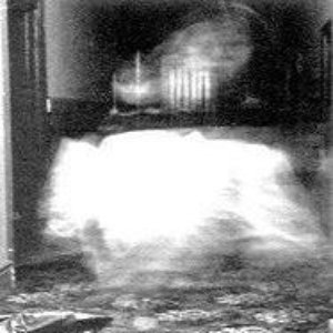 The Hotel Ghost 的头像