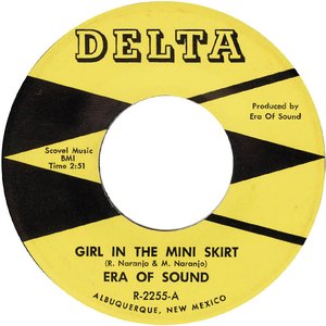Girl In The Mini Skirt