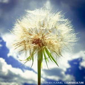 Counterculture