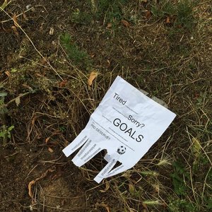 GOALS 001